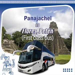 Shuttle Panajachel to Flores First Class bus